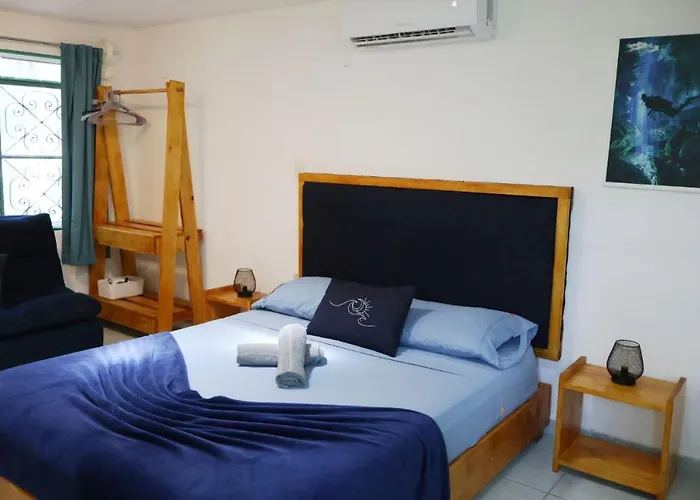 Yaxkin, Located In Downtown Apartment *