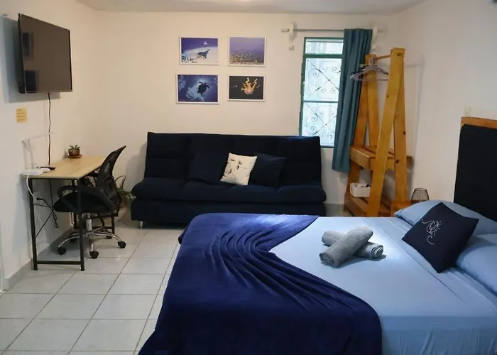Apartment Yaxkin, Located In Downtown *