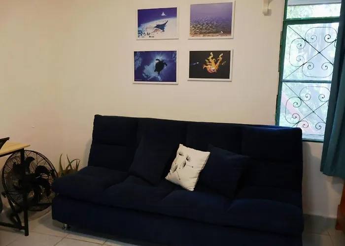 Apartment Yaxkin, Located In Downtown *