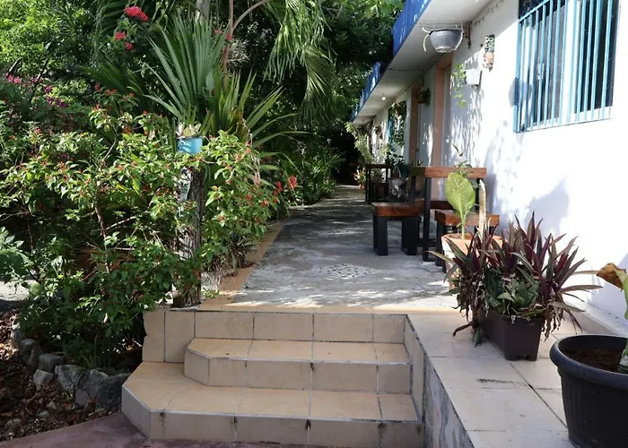 Yaxkin, Located In Downtown