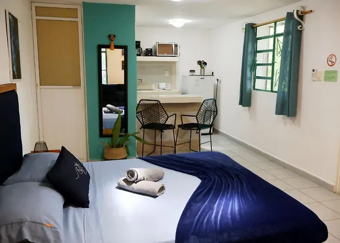 Yaxkin, Located In Downtown Apartment Cozumel