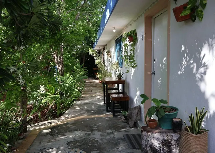 Yaxkin, Located In Downtown Apartment