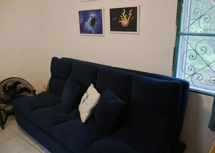 Apartment Yaxkin, Located In Downtown